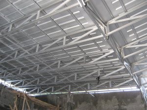 canopy model cremona